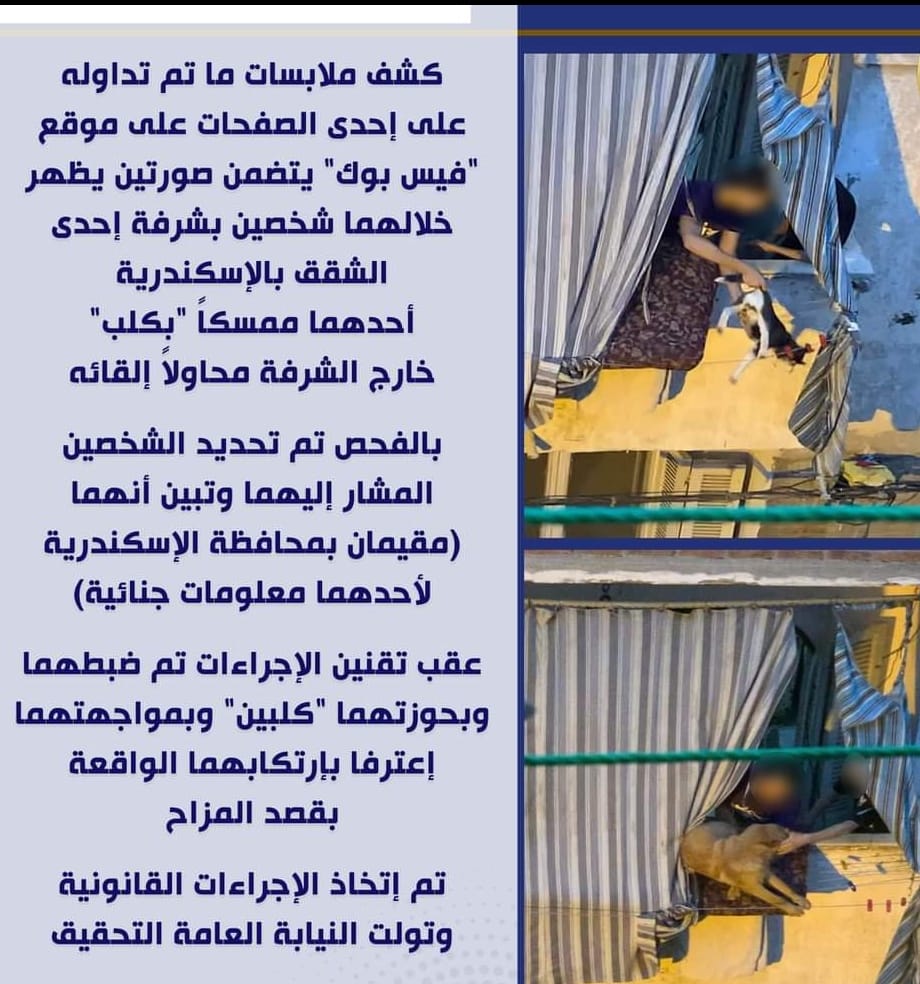 الكلب.. المسكين!