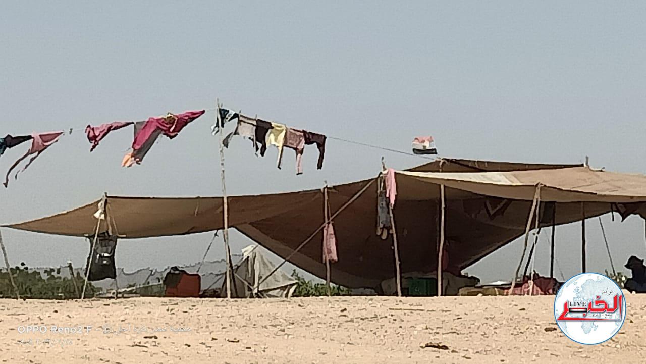 البدو و«البادية» .. «عيشة هادية»