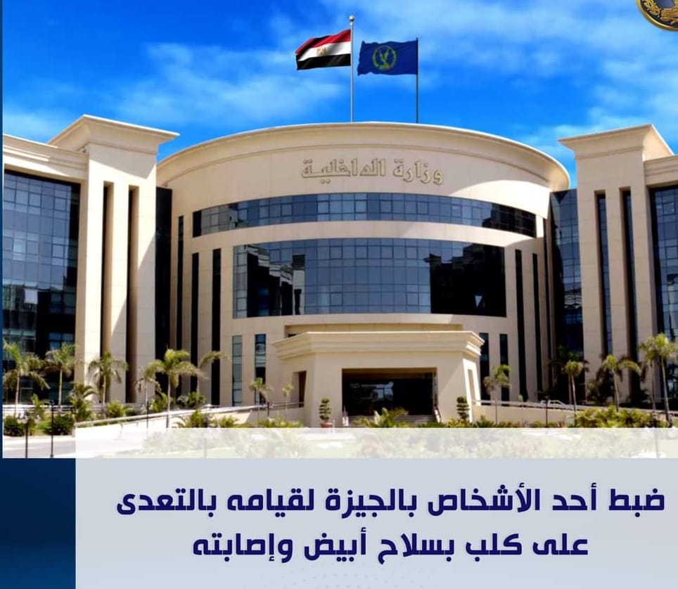 يعتدى علي كلب بسكين 