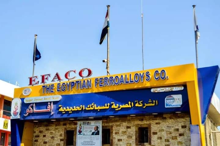 وزير قطاع الأعمال يتابع مشروعات "المصرية للسبائك الحديدية