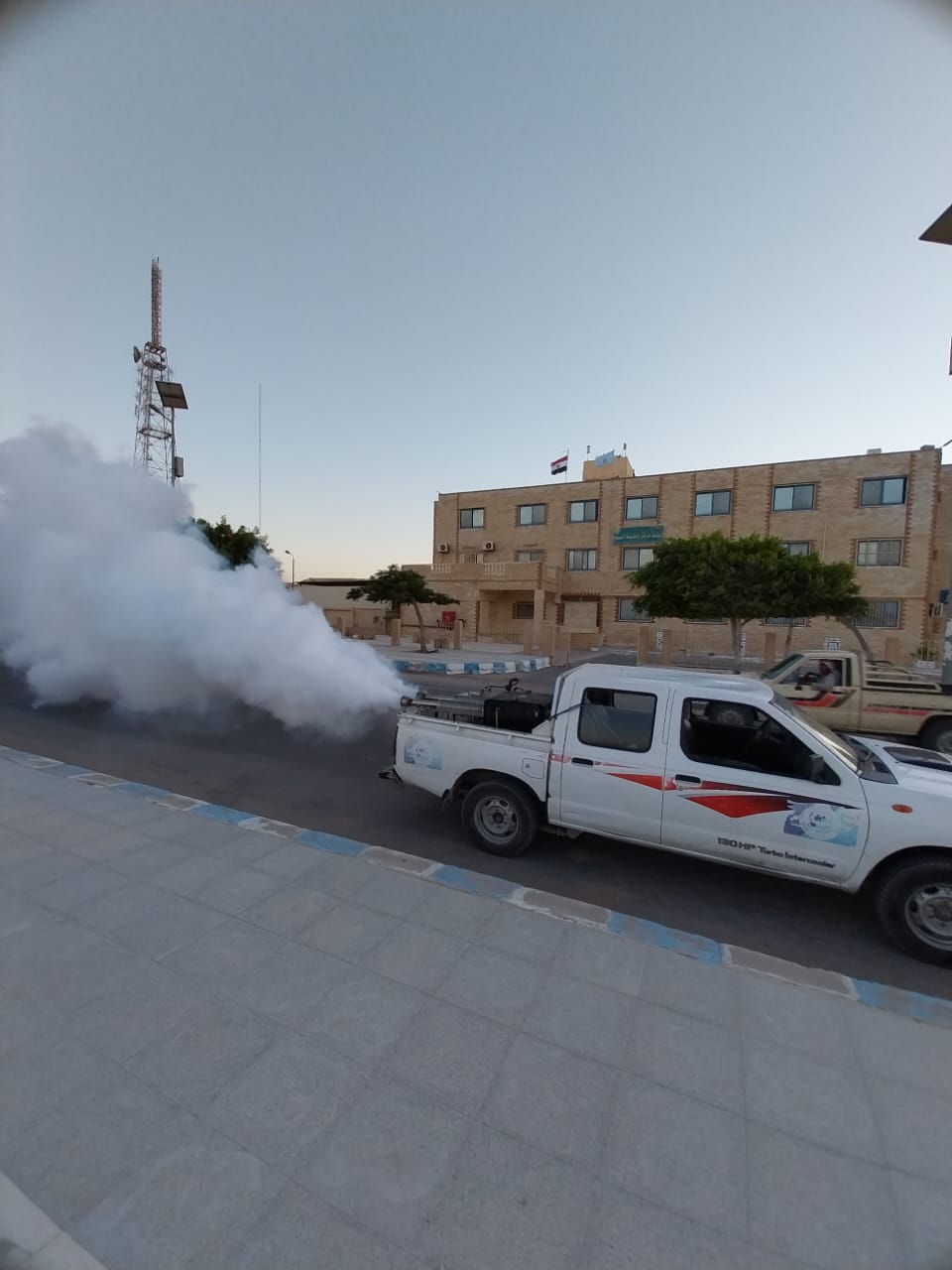 مطروح تكافح الذباب والبعوض وناقلات الأمراض  