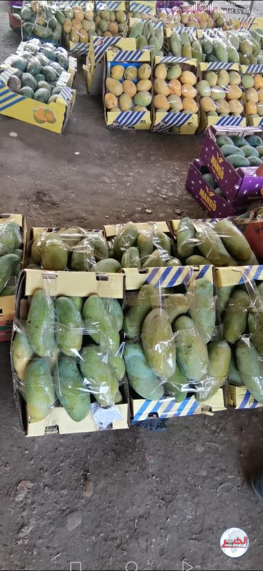 بحبك يا مانجة وفى حبك يخلص كلامى