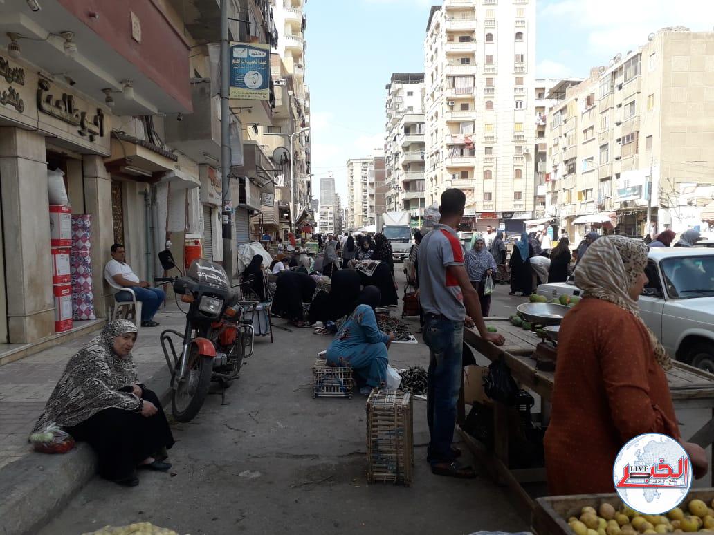 أزمة مرور .. في شارع الروضة بدمنهور