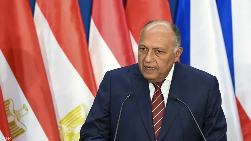 وزير الخارجية .. يلتقي ممثلي كبرى الشركات الأمريكية