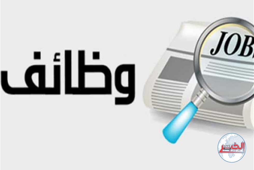 بمرتبات 7 آلاف جنيه.. رابط التقديم في وظائف وزاراة الشباب والرياضة لحديثي التخرج