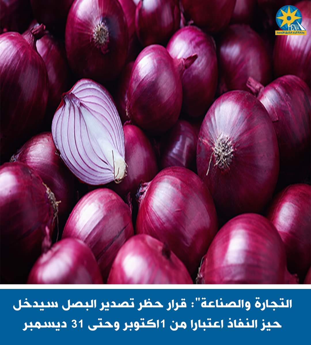 أول أكتوبر..حظر تصدير البصل