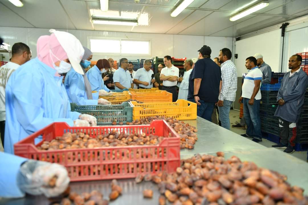 محطه إسنا للفرز والتعبئة تخدم 1500 مزارع