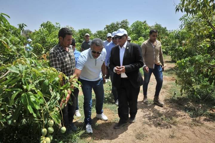 تشجيع الإستثمارات الخضراء فى مختلف أراضى الريف المصرى الجديد