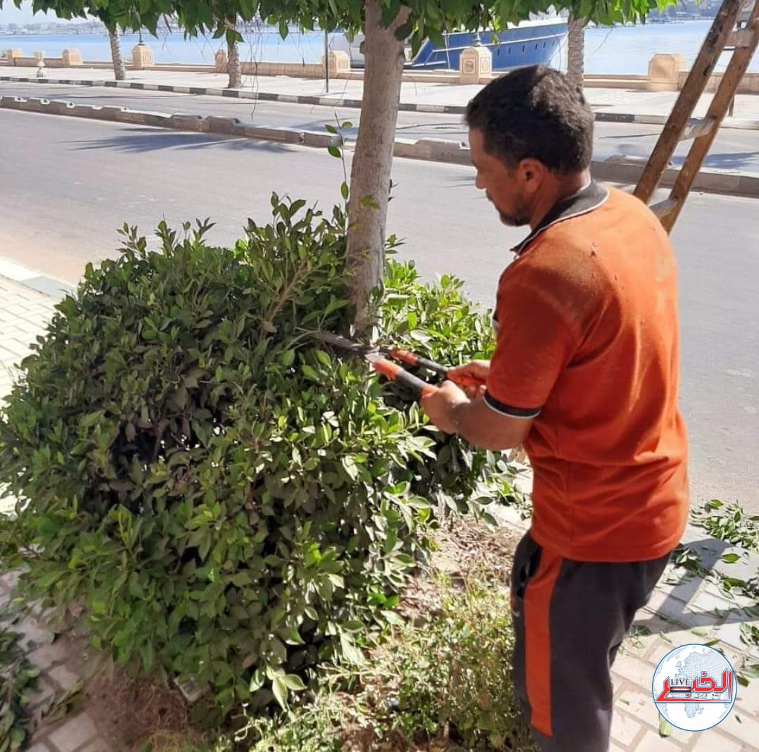 رفع 2800 طن قمامة بالبحيرة 