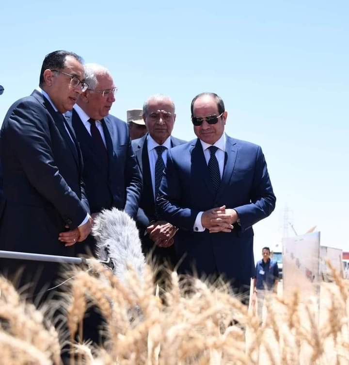 الدولة تقدر المهمة الوطنية للمزارعين فى تحقيق الأمن الغذائى
