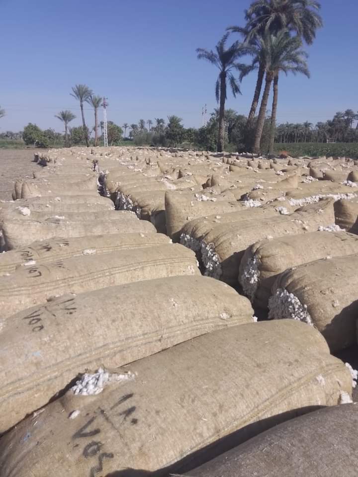 بدء العمل بمنظومة تداول الأقطان