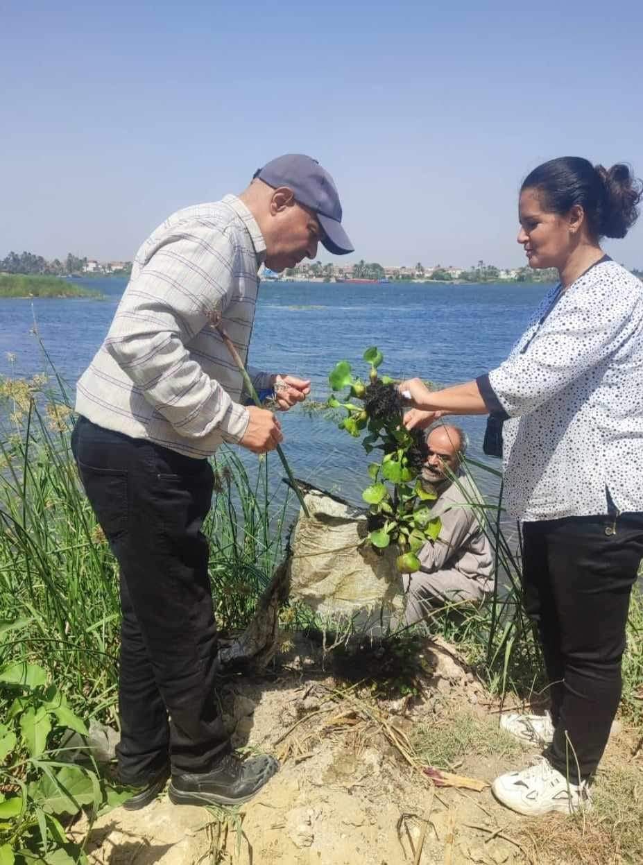 حملات مكثفة لمكافحة ناقلات ومسببات الأمراض المتوطنة..بالمنيا