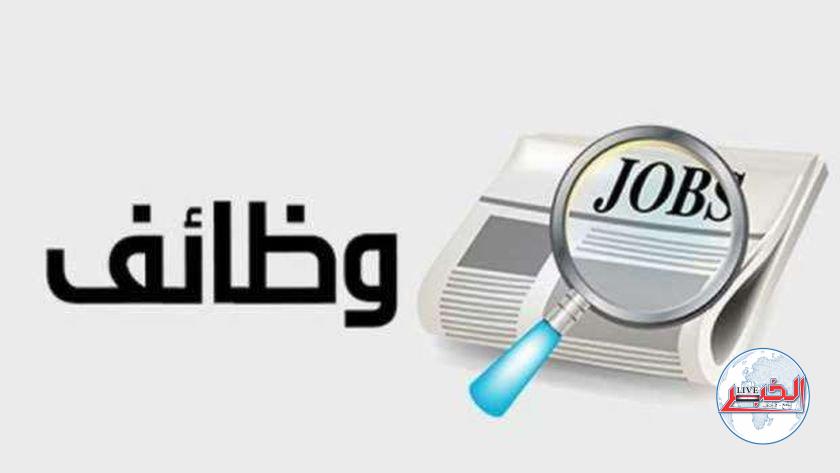 رابط التقديم لوظائف وزارة التموين 2023 في جميع المحافظات