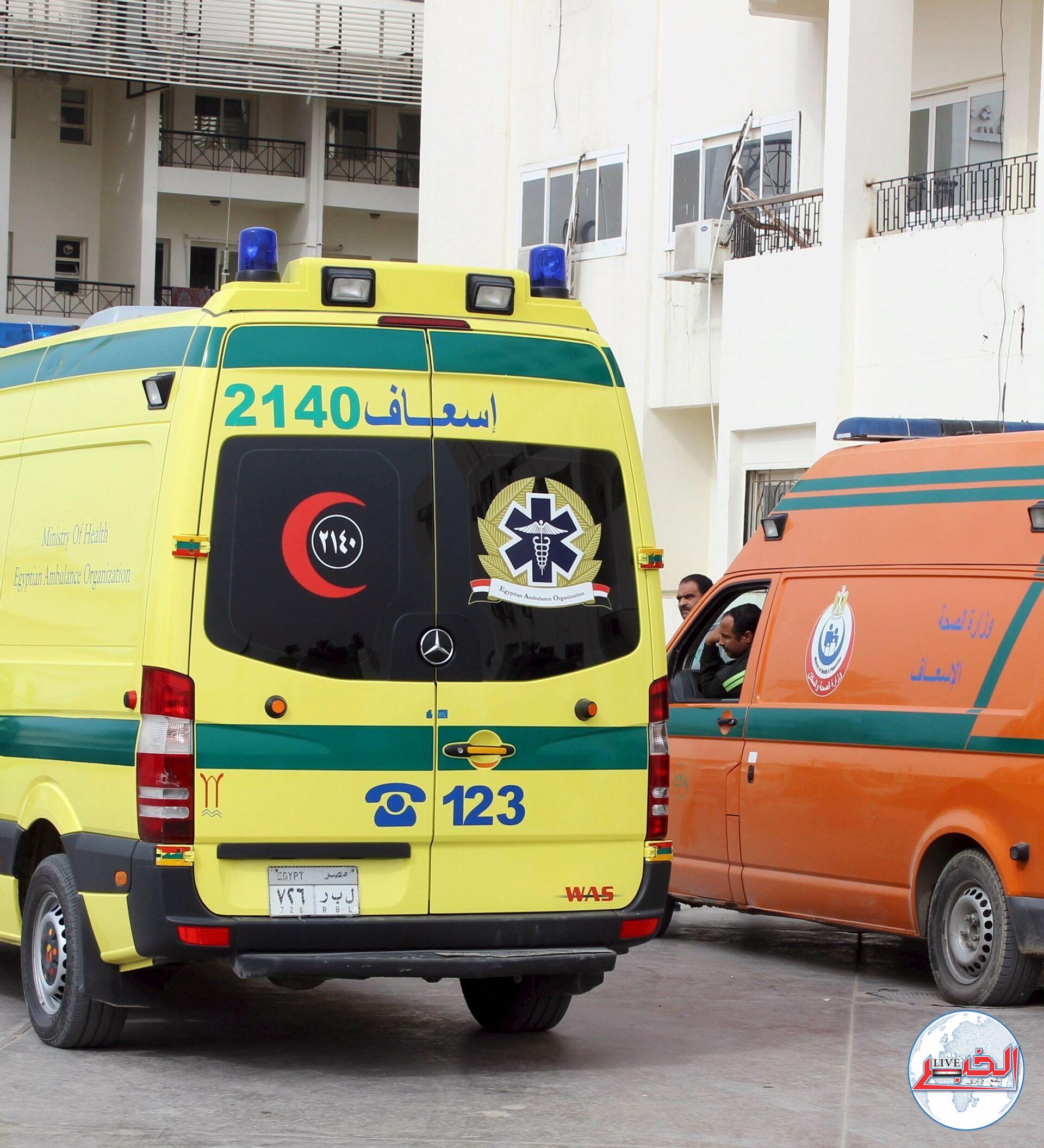 بالأسماء.. إصابة 10 عمال بحادث إنقلاب سيارة نقل في البحيرة
