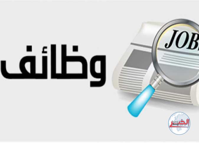 براتب 8000 جنيه.. رابط التسجيل في وظائف وزارة الشباب والرياضة 2023