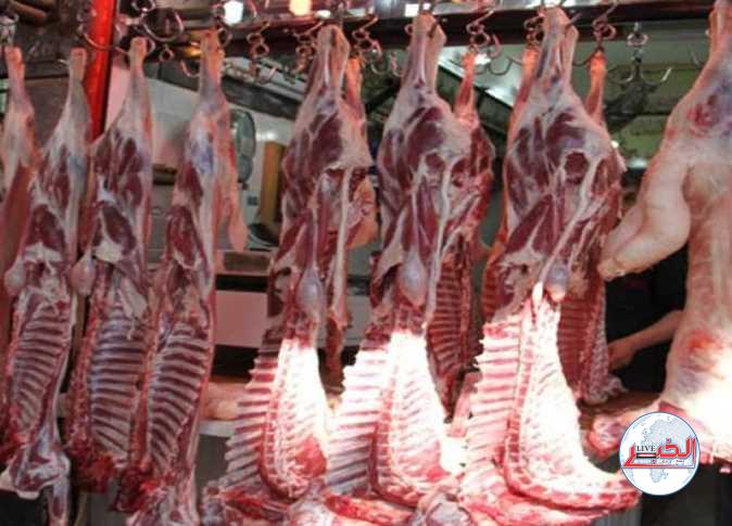 بـ 240 جنيهًا للكيلو.. طرح لحوم بلدي ظازجة بالمجمعات الإستهلاكية في المحافظات