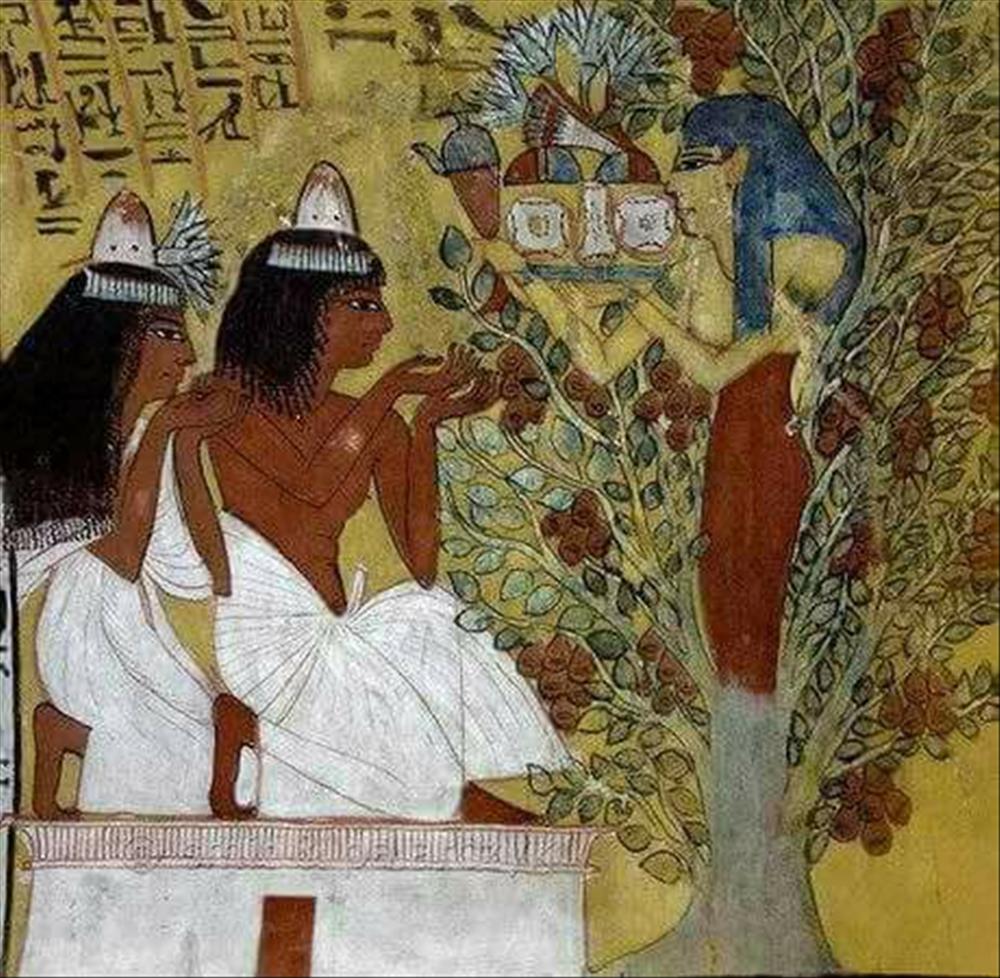 اكتشاف مذهل .. رأس السنة عند الفراعنة محجوبة تحت «فضلات الطيور» !