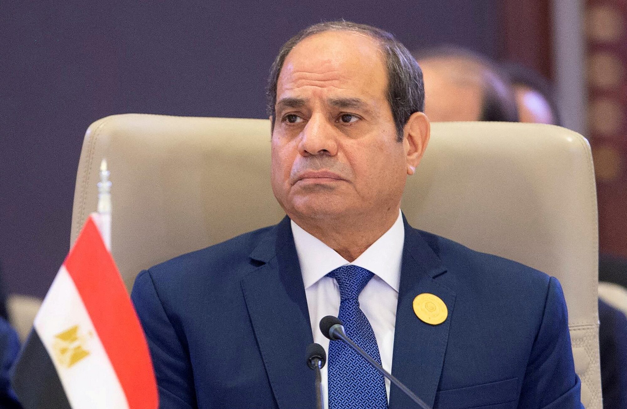 الرئيس السيسي: مصر دفعت ثمناً هائلاً .. من أجل السلام