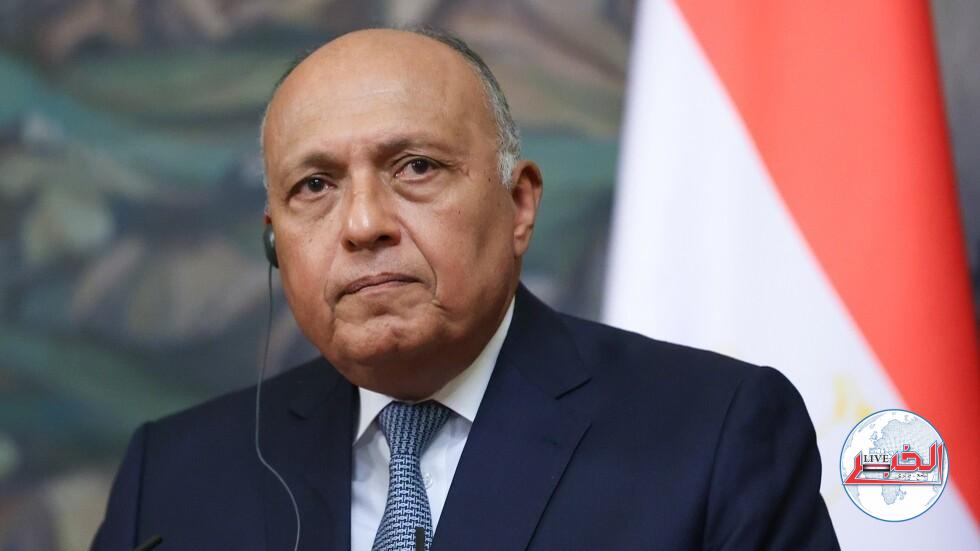 وزير الخارجية المصري: ندعو لوقف فوري لإطلاق النار في قطاع غزة دون قيد أو شرط
