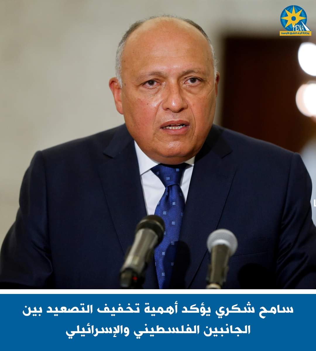 شكرى : نسعى لزيادة حجم الإستثمارات والشركات الإيطالية بمصر