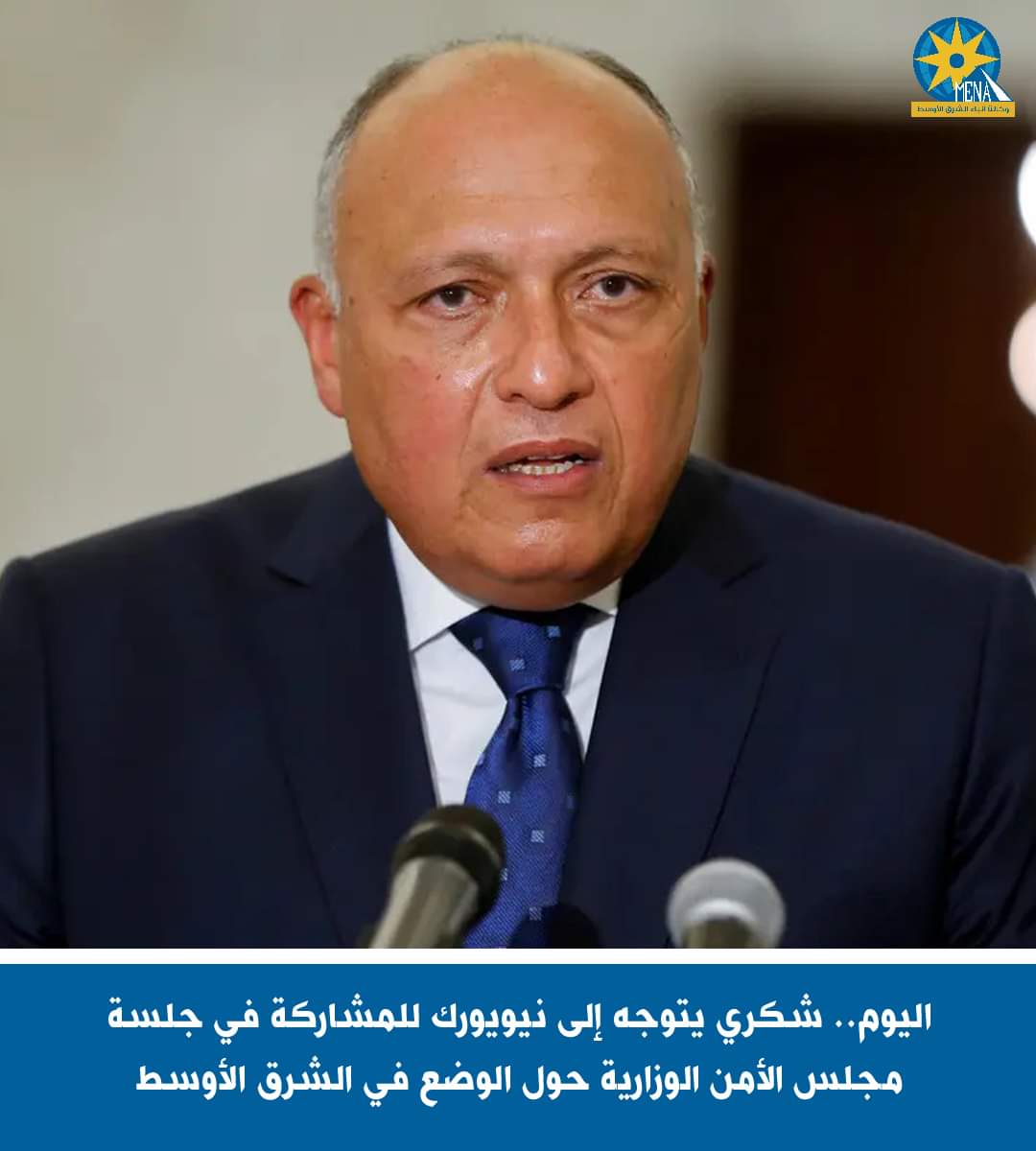 وزير الخارجية يتوجه إلى نيويورك.. ويلقى كلمة مصر غدا أمام مجلس الأمن