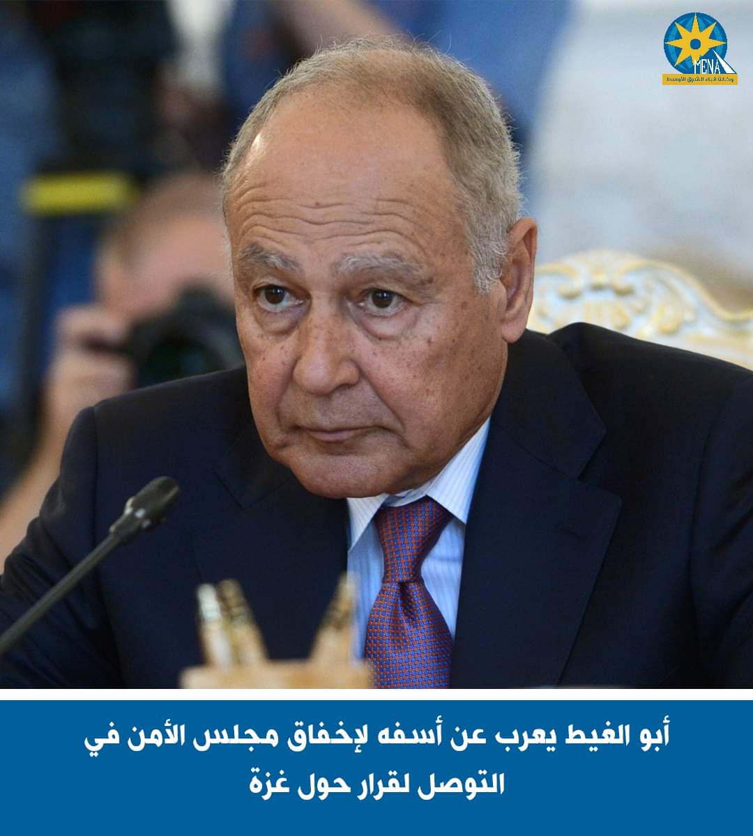 أبو الغيط يأسف لإخفاق مجلس الأمن فى التوصل لقرار حول غزة