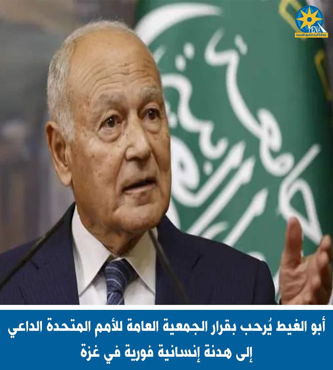 أبو الغيط يرحب بنجاح الجمعية العامة للأمم المتحدة في تبني قرار يدعو إلى هدنة إنسانية فورية بغزة