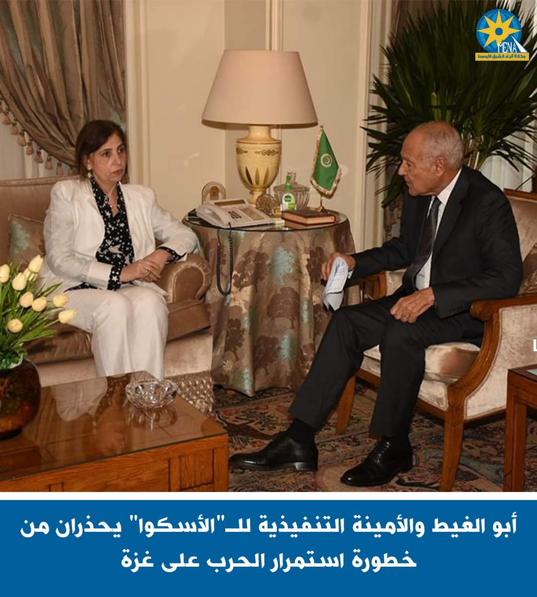 أبوالغيط والأمينة التنفيذية لـ"الأسكوا" يحذران من خطورة استمرار الحرب على غزة