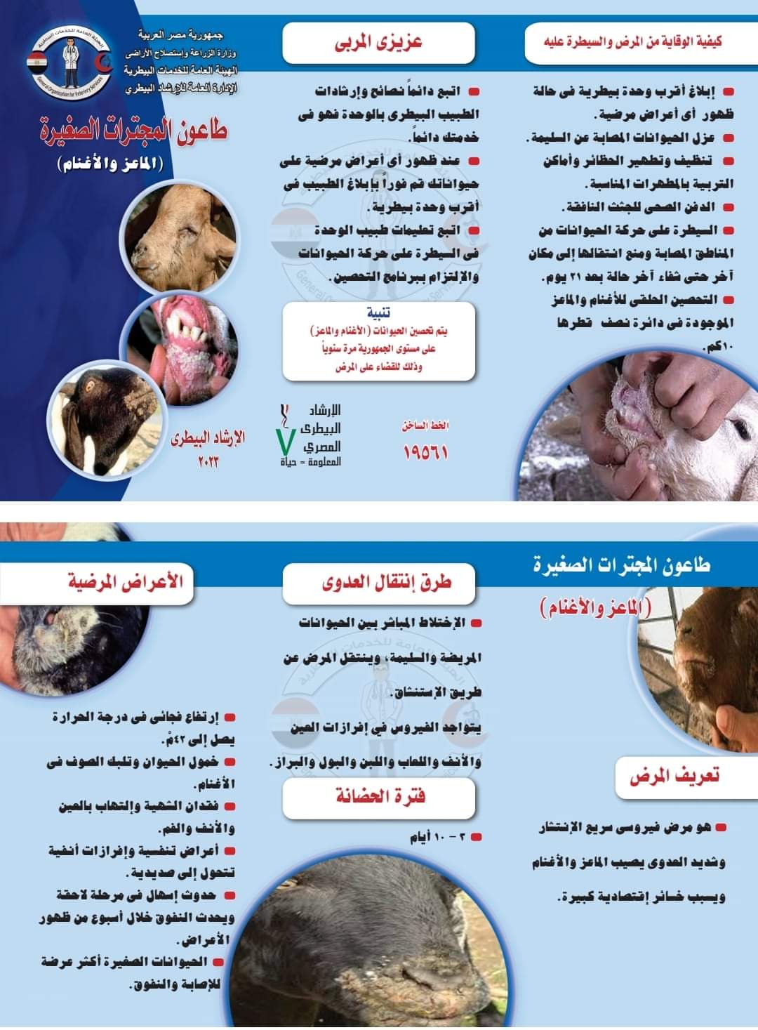إنطلاق الحملة القومية لتحصين الأغنام والماعز ضد مرض طاعون المجترات الصغيرة