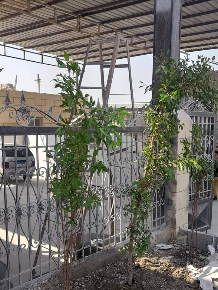 تشجير منطقة شق الثعبان بالقاهرة