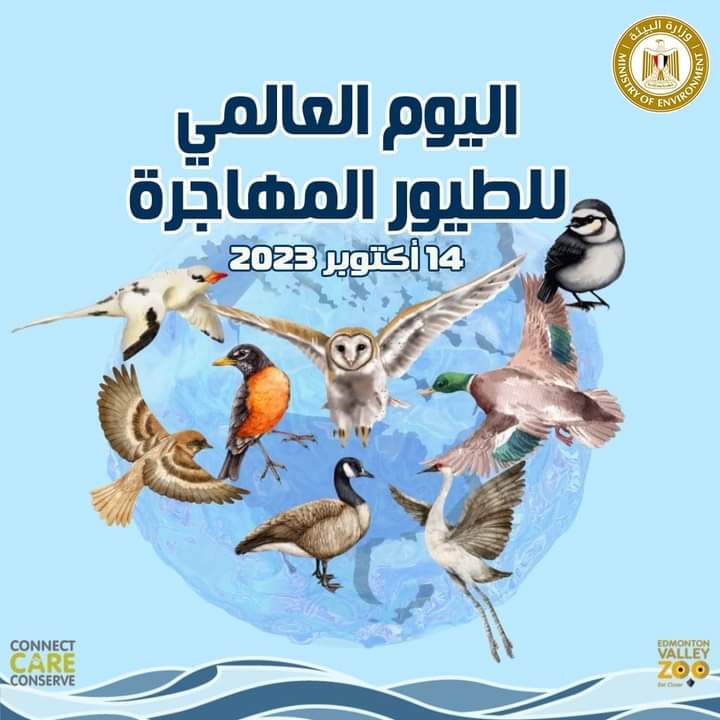 مصر تشارك دول العالم الإحتفال باليوم العالمى للطيور المهاجرة 