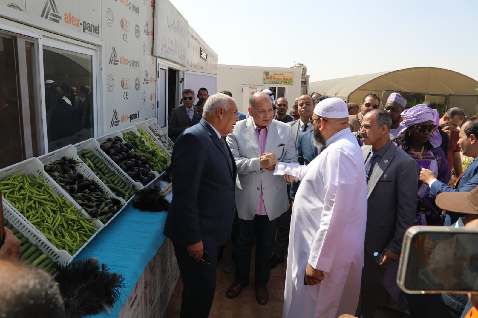 عاصمة إدارية جديدة بالوادى الجديد 