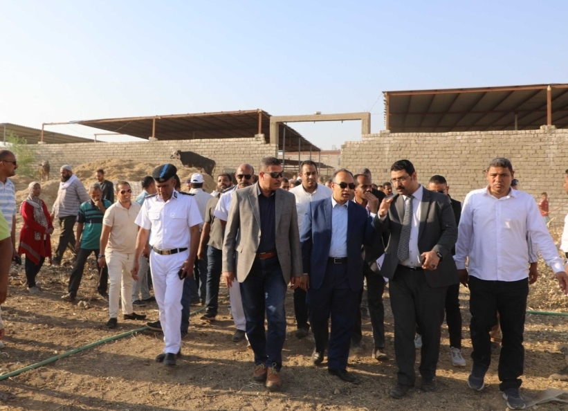حملات مكبرة لإزالة التعديات على الأراضى الزراعية.. بالمنيا 