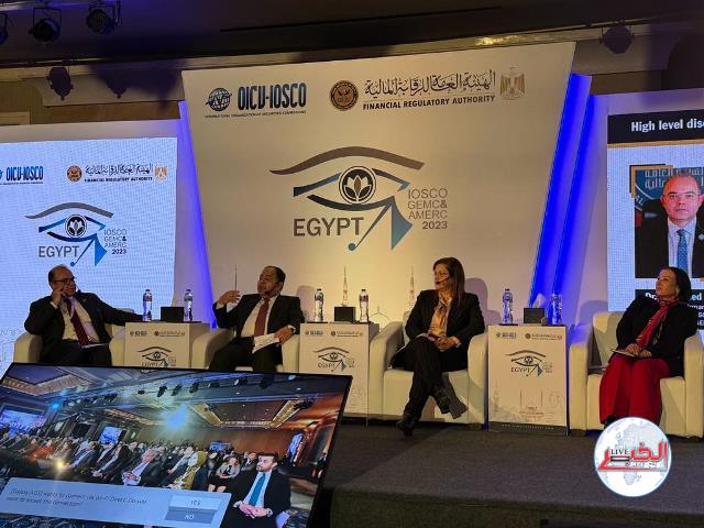 المالية: التجربة المصرية فى التمويل الأخضر تعزز المسار التنموى