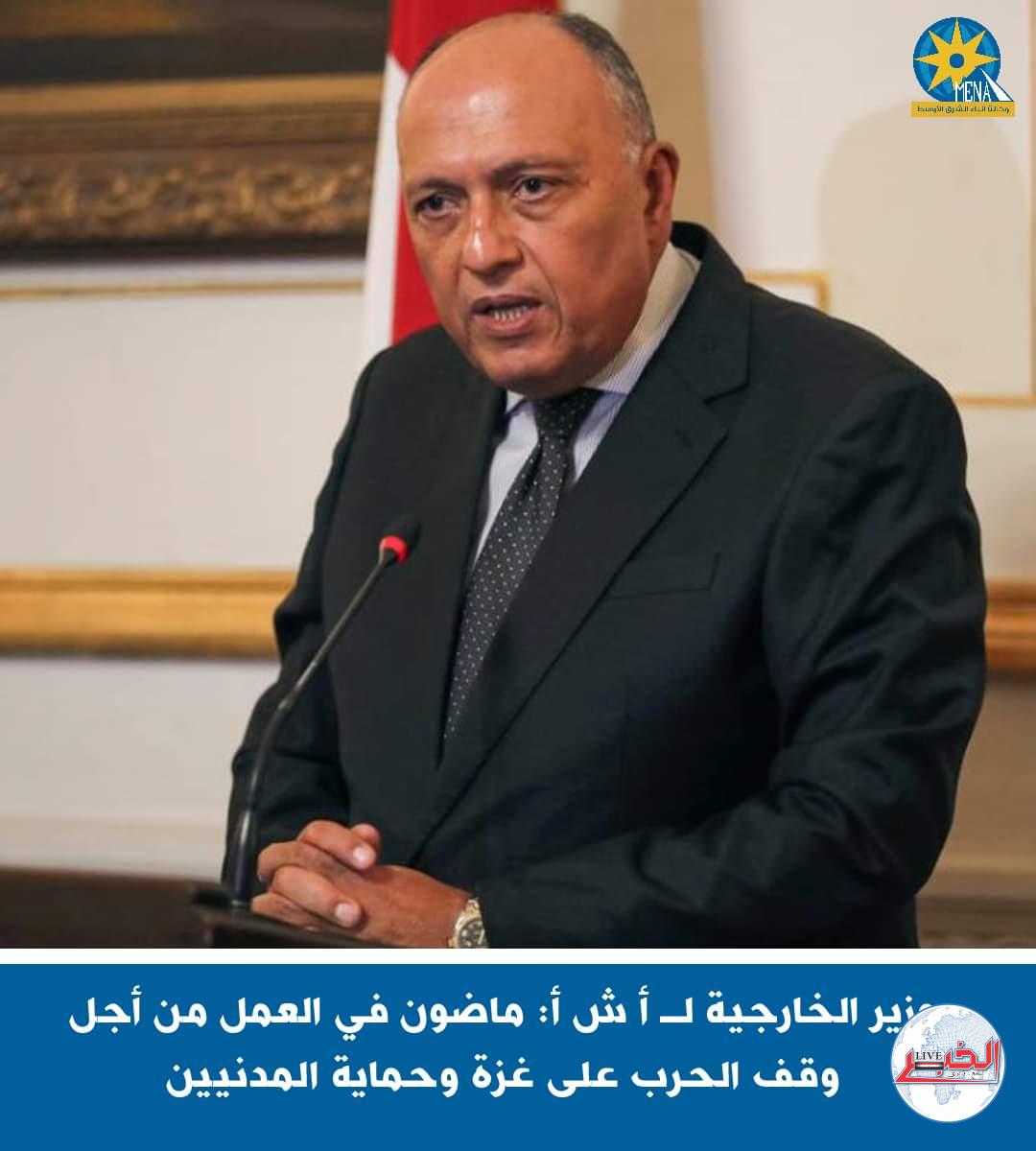 وزير الخارجية:  ماضون في العمل من أجل وقف الحرب على غزة وحماية المدنيين