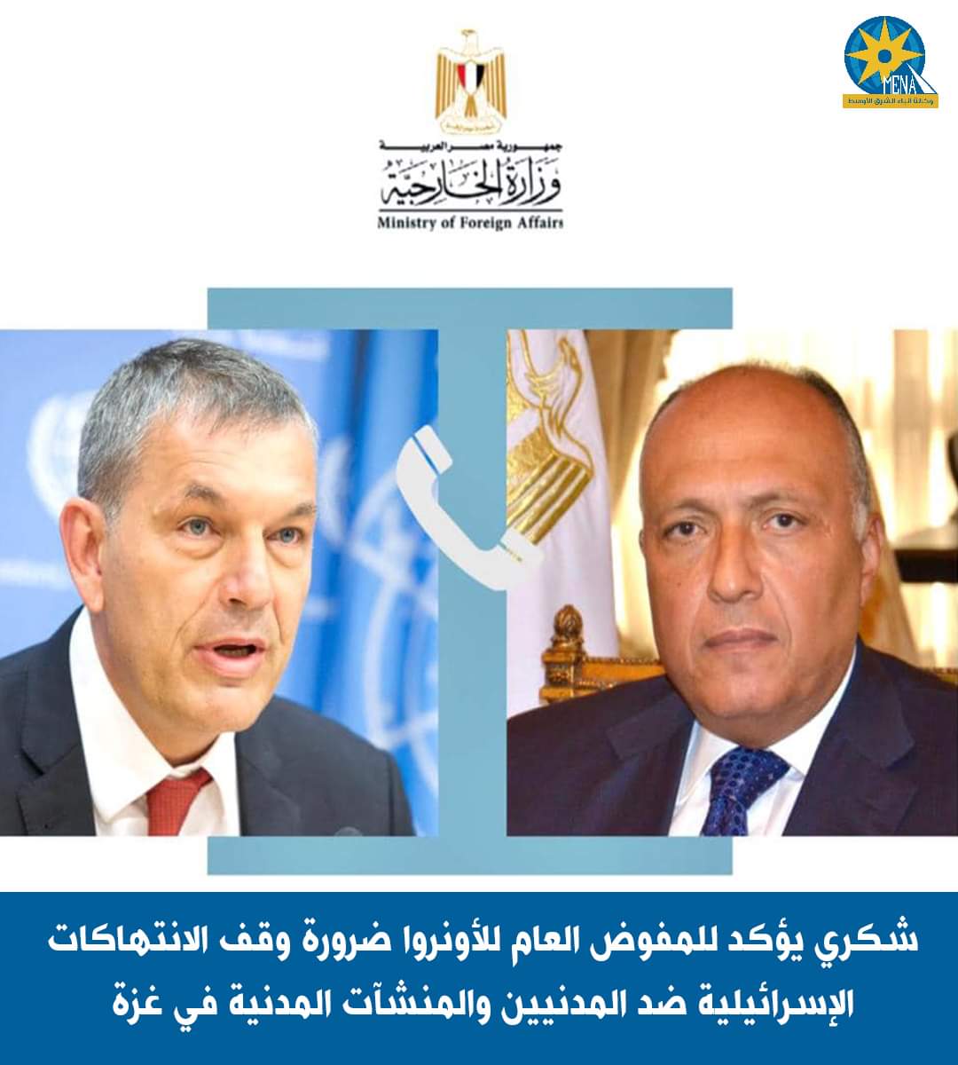 وزير الخارجية : جاري العمل على ترتيب الإجراءات اللوجيستية الخاصة باستقبال الأطفال حديثي الولادة من غزة