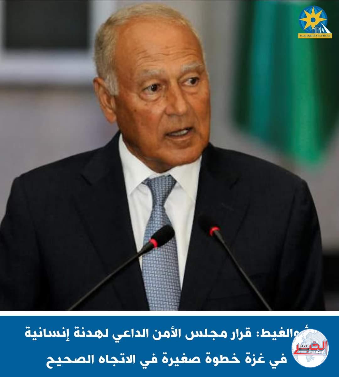 أبوالغيط: قرار مجلس الأمن بهدنة إنسانية فى غزة .. خطوة صغيرة فى الإتجاه الصحيح 