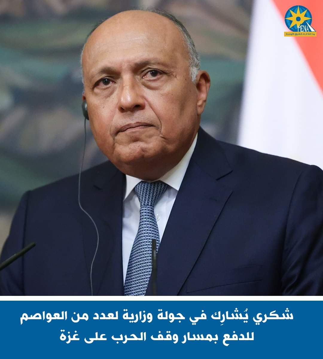 جولة لوزير الخارجية بعدد من الدول دائمة العضوية بمجلس الأمن