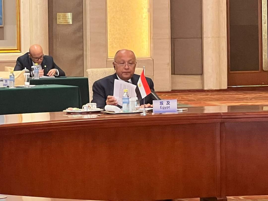 وزير الخارجية : سياسة إسرائيل في تعطيل دخول المساعدات لغزة ..ممنهجة