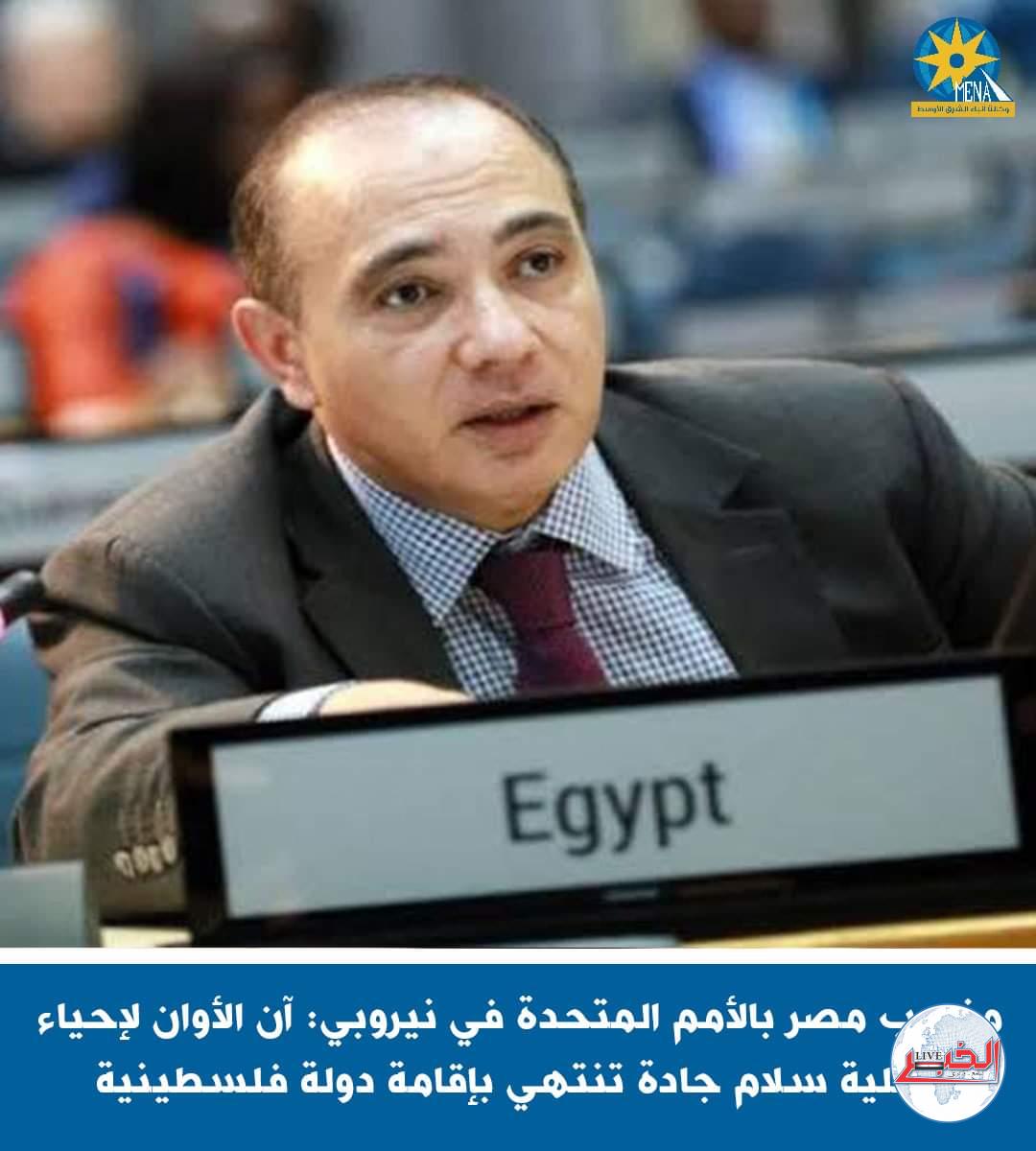 مندوب مصر بالأمم المتحدة : آن الأوان لإحياء عملية سلام جادة تنتهي بإقامة دولة فلسطينية