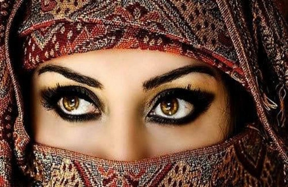 د. محمد أبو علي .. يكتب : فتنة اللغة