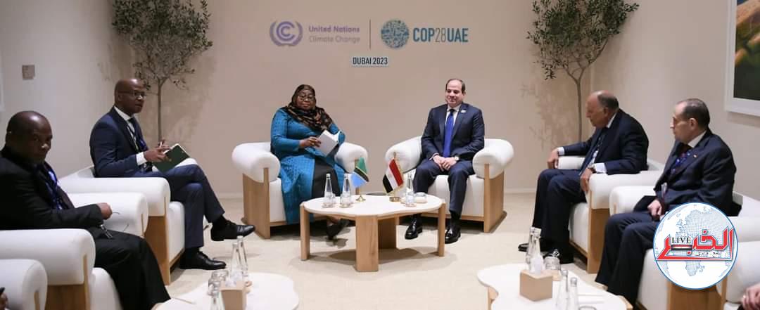 الرئيس السيسي .. يبحث مع رئيسة تنزانيا تعزيز العلاقات الثنائية وزيادة الإستثمارات المصرية