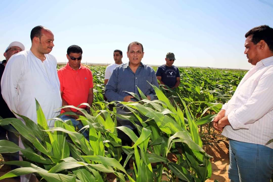 الريف المصرى الجديد" : 1300 شركة من المنتفعين بأراضى مشروع الـ 1،5مليون فدان حصلت على "كارت الفلاح"