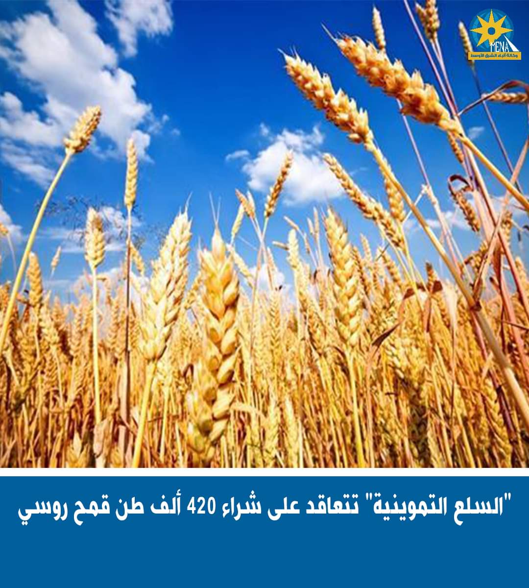 التموين : شراء 420 ألف طن قمح روسى