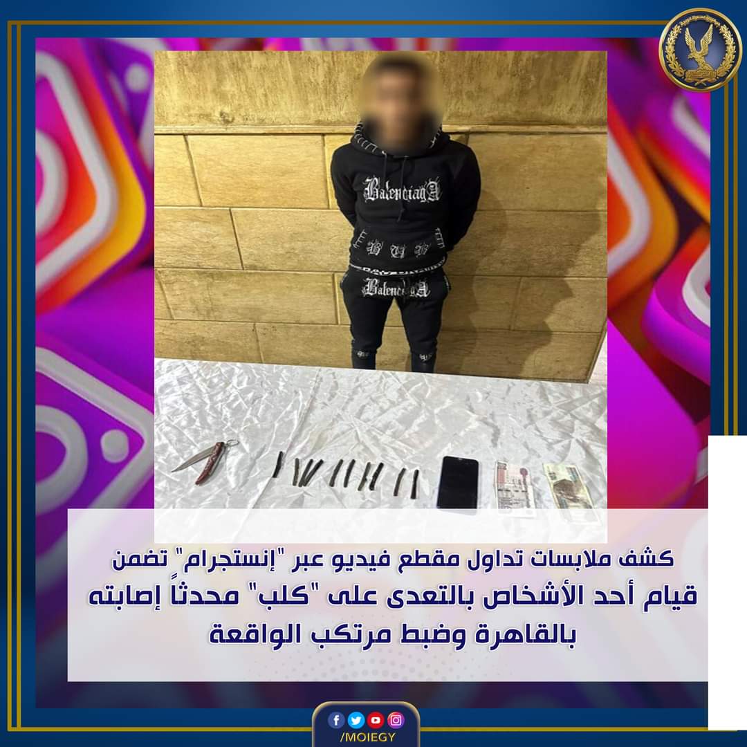 عاطل المقطم ضرب الكلب بالمطواة..وسقط الحشيش