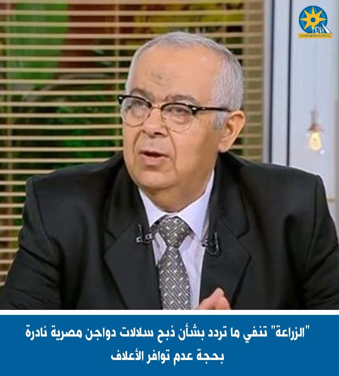 "الزراعة" تنفى ذبح سلالات دواجن مصرية نادرة بحجة عدم توافر الأعلاف
