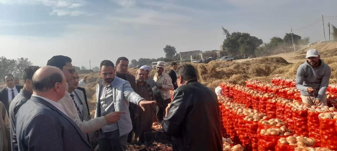 حملات تفتيشية على مفارش البصل لدى التجار بجميع المحافظات