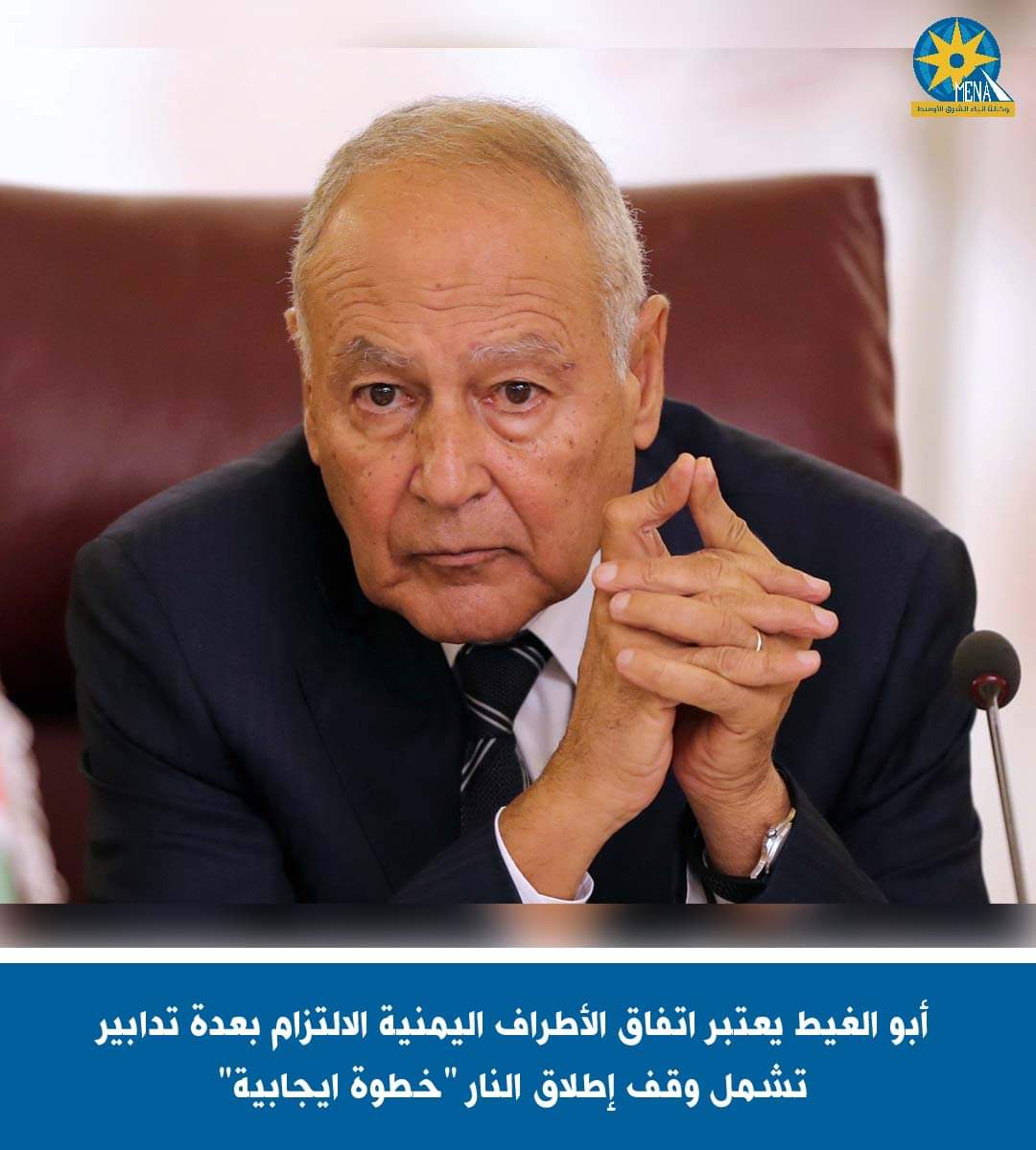 أبو الغيط : اتفاق الأطراف اليمنية بوقف إطلاق النار "خطوة ايجابية"