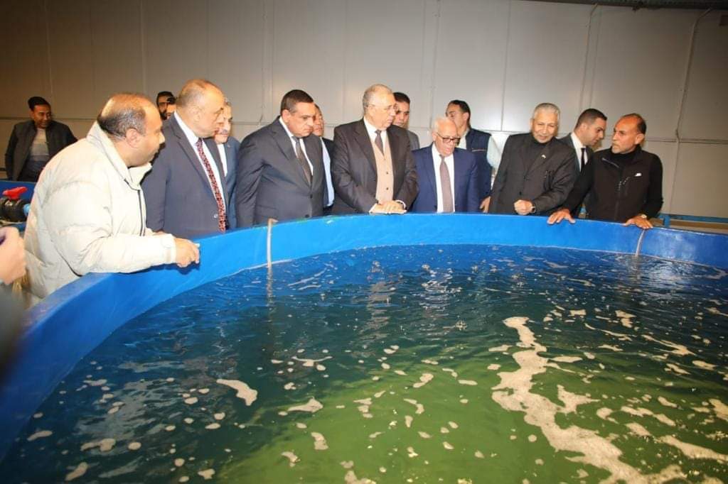 مفارخ أسماك الجميل ببورسعيد الأول من نوعه في مصر والشرق الأوسط.. لإنتاج اللوت وموسى