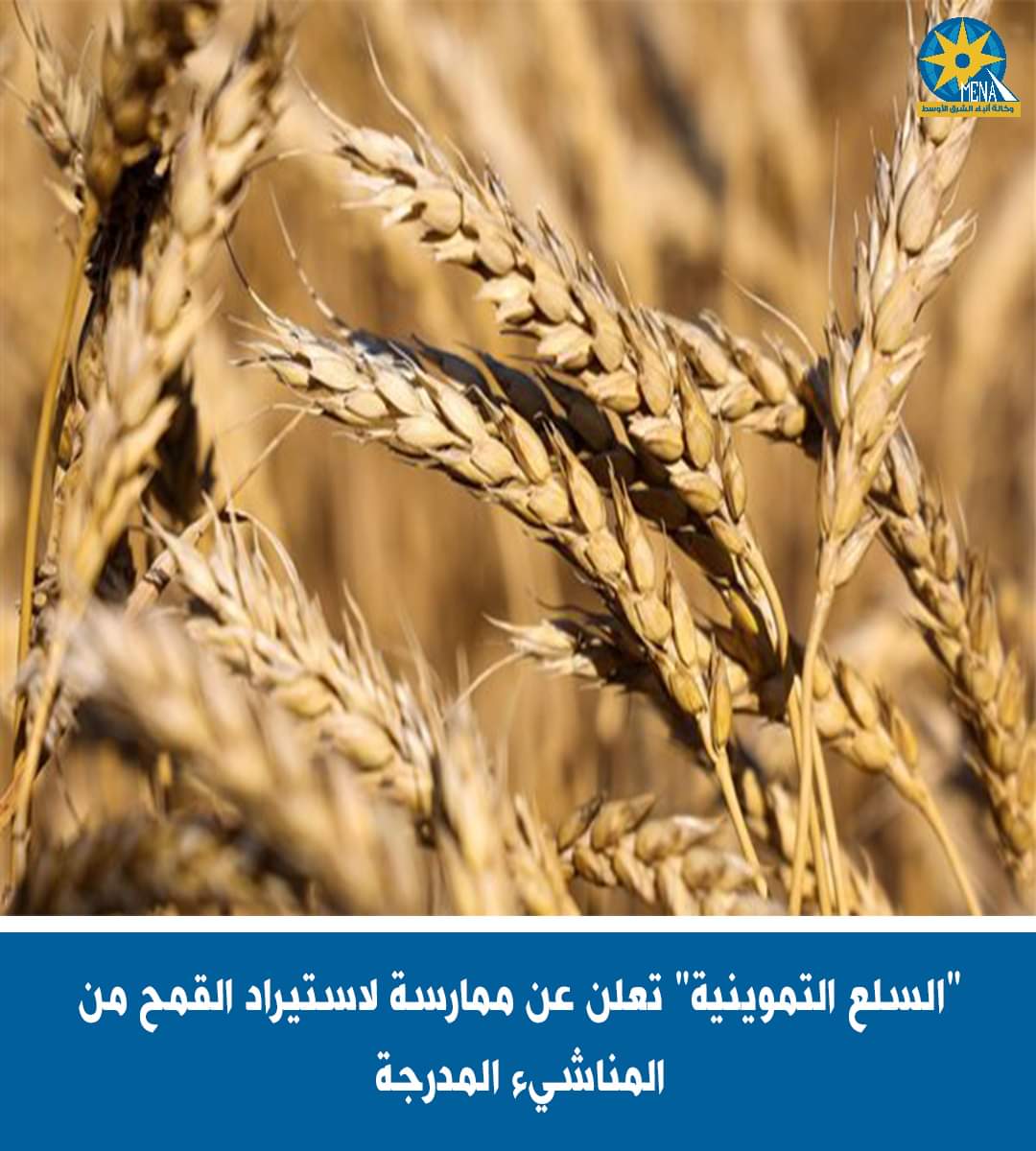 التموين تعلن عن ممارسة قمح مستورد